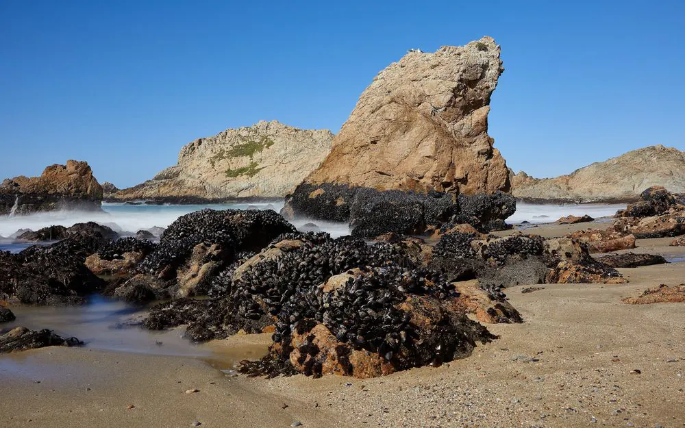 Point Reyes on the Northern California coast.