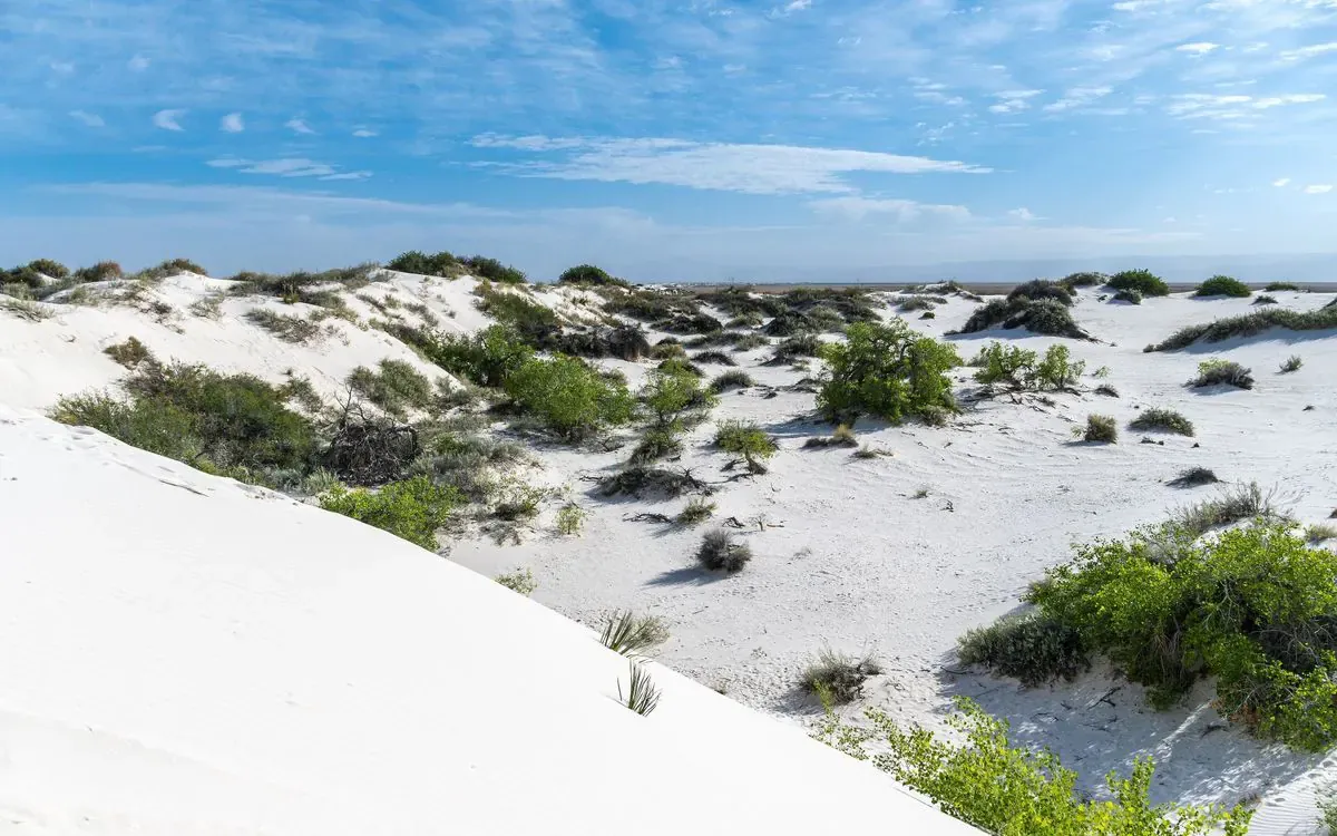 White Sands dune field.