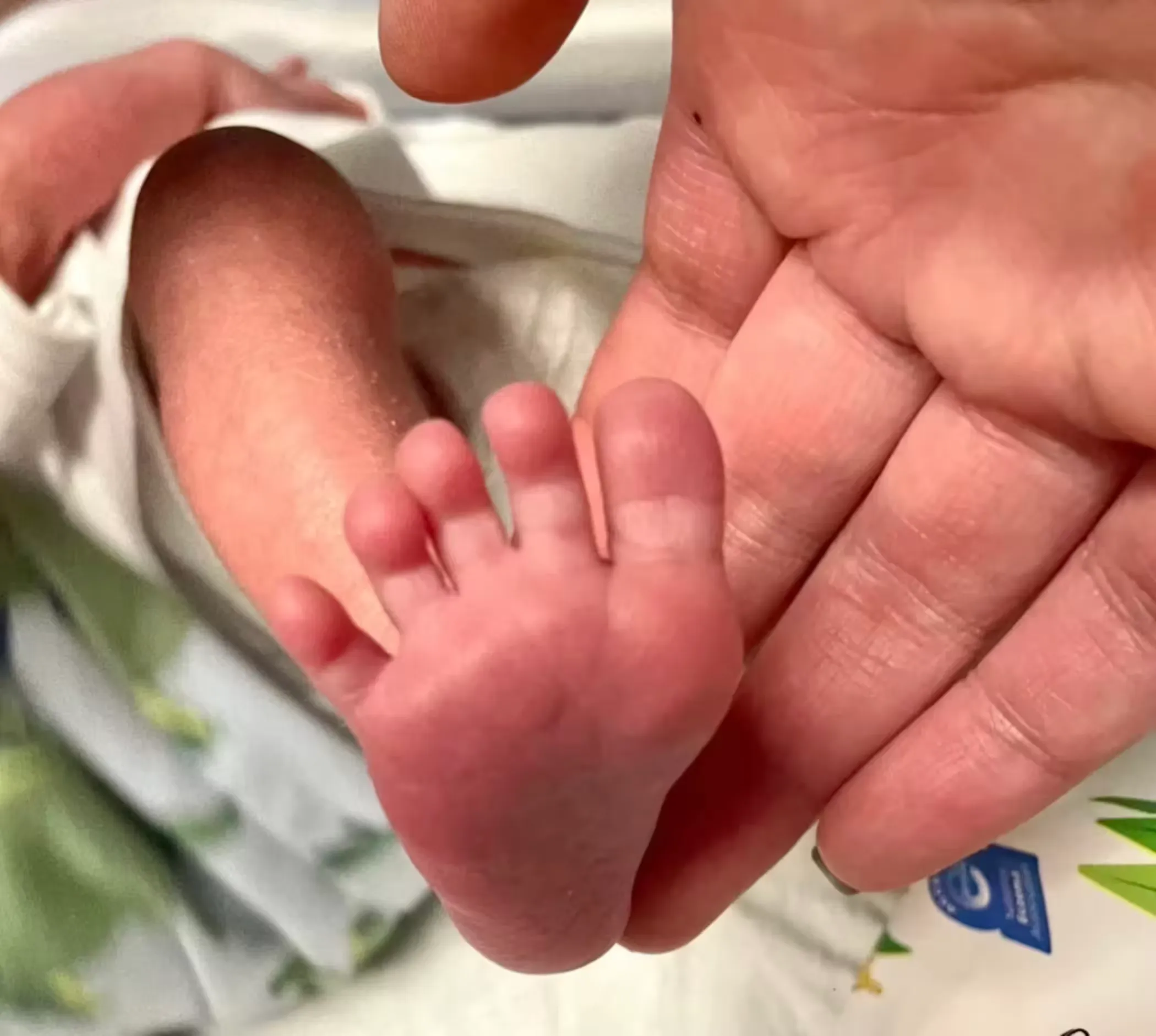 Patriot Babies & Surrogates Image 4