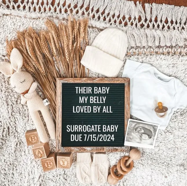 Patriot Conceptions surrogate support experience at the end of the application journey