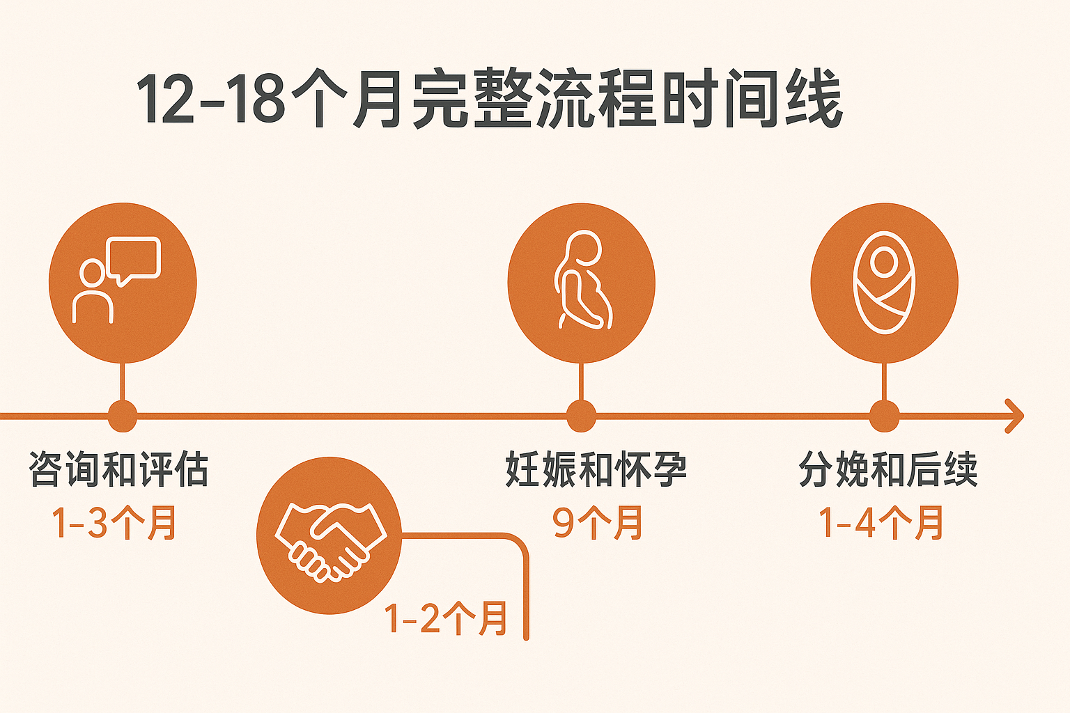 完整 12–18 个月代孕时间线