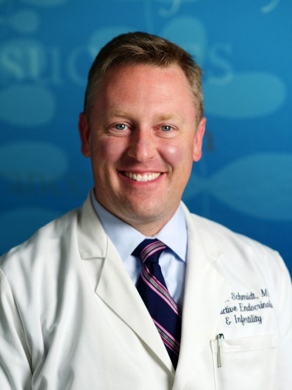 David Schmidt